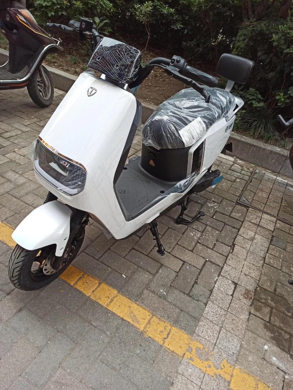 2022年台铃电动车60V32图片