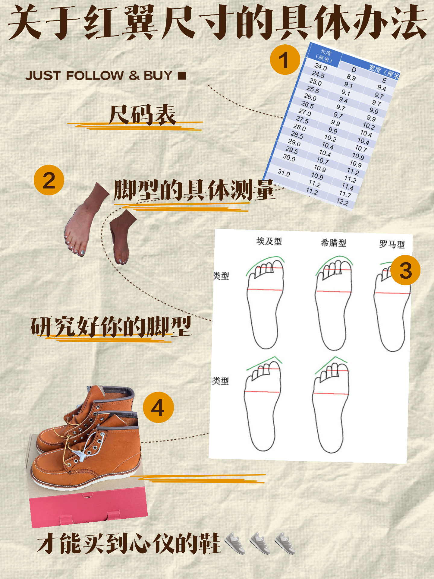 红翼尺码对照表图片