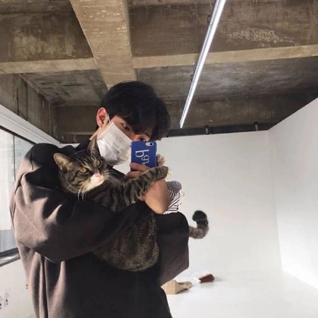 男生抱猫头像