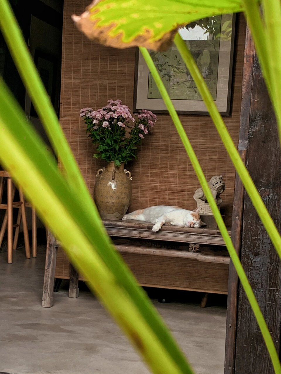 99李庄古镇 一座充满历史底蕴和文化内涵的小镇