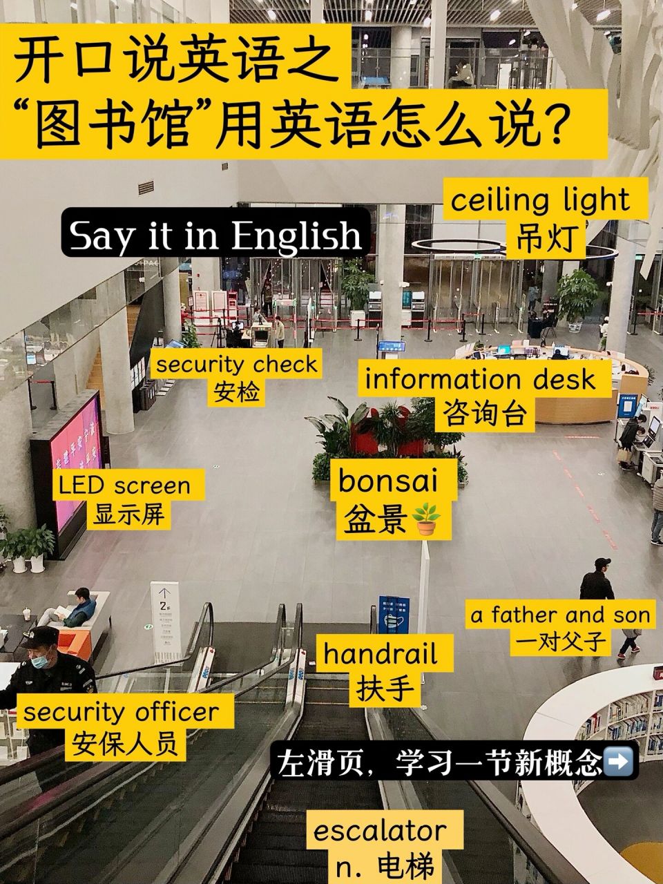 say it in english|"图书馆"用英语怎么说? 哈咯 早上好!