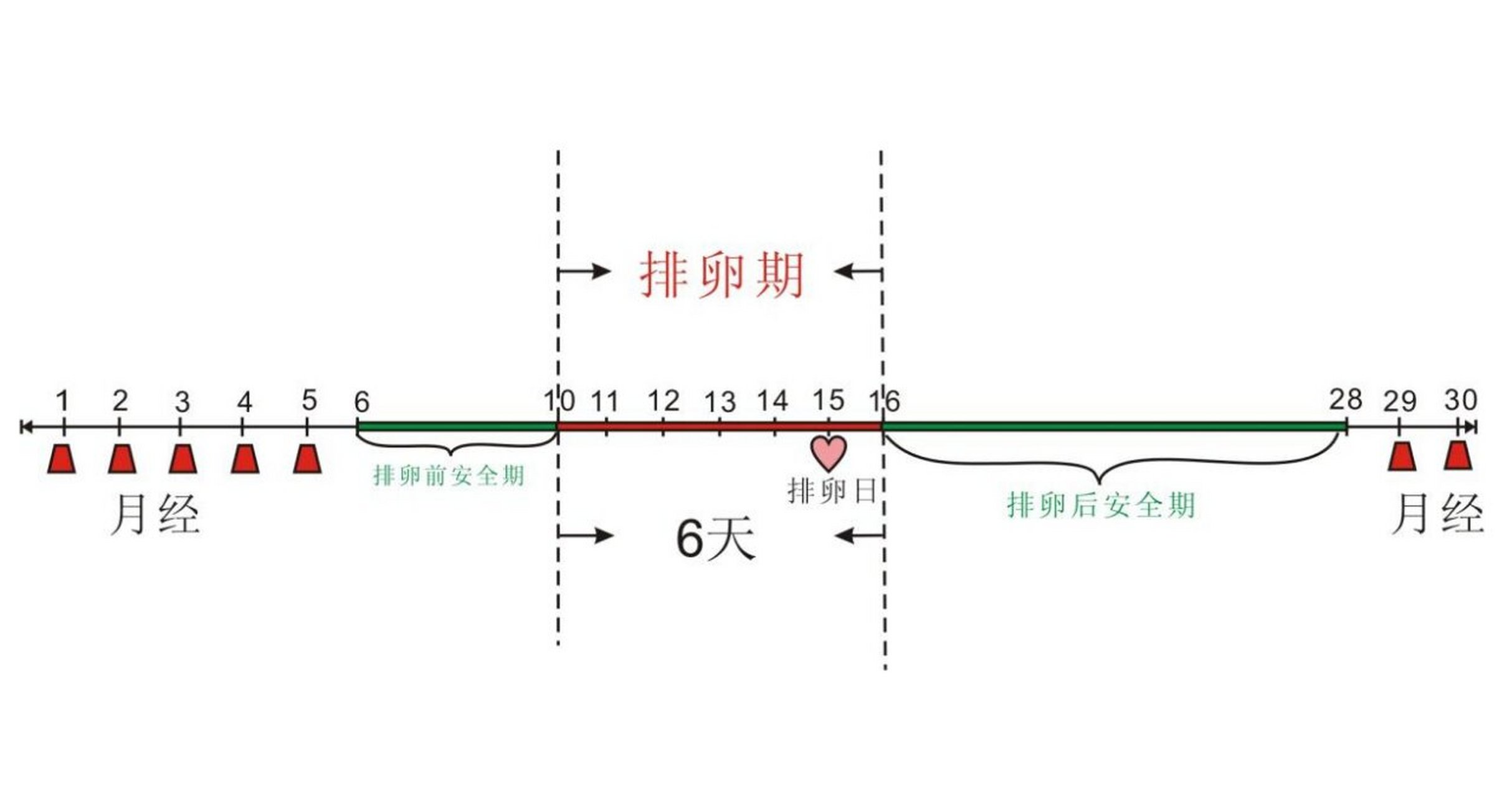 了解女性生理周期——揭秘安全期的奥秘!