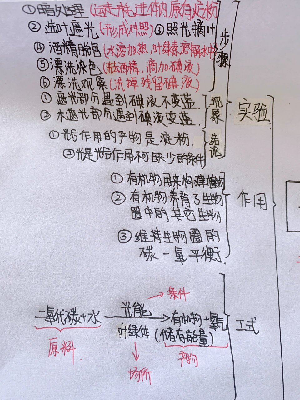 光合作用思维导图简短图片