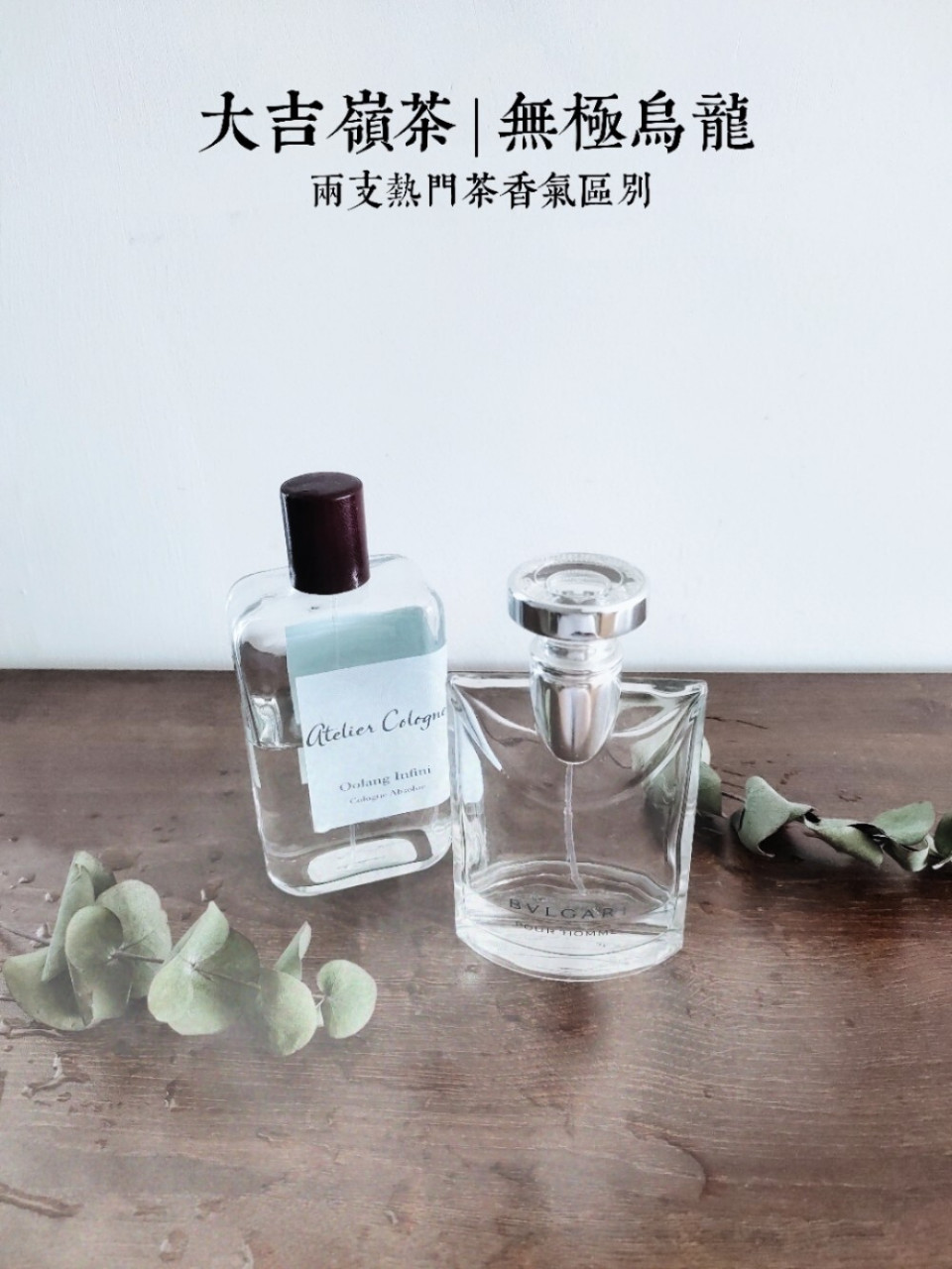 大吉岭茶 无极乌龙|两支热门茶香对比测评 提到茶香香水,z热门的一定