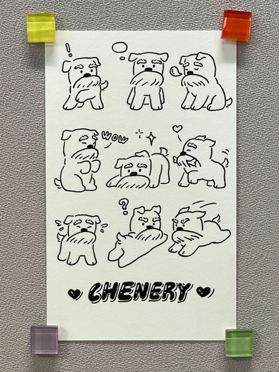 98狗狗简笔画100-1|雪纳瑞篇|手帐素材94 雪纳瑞像个可爱又机警的