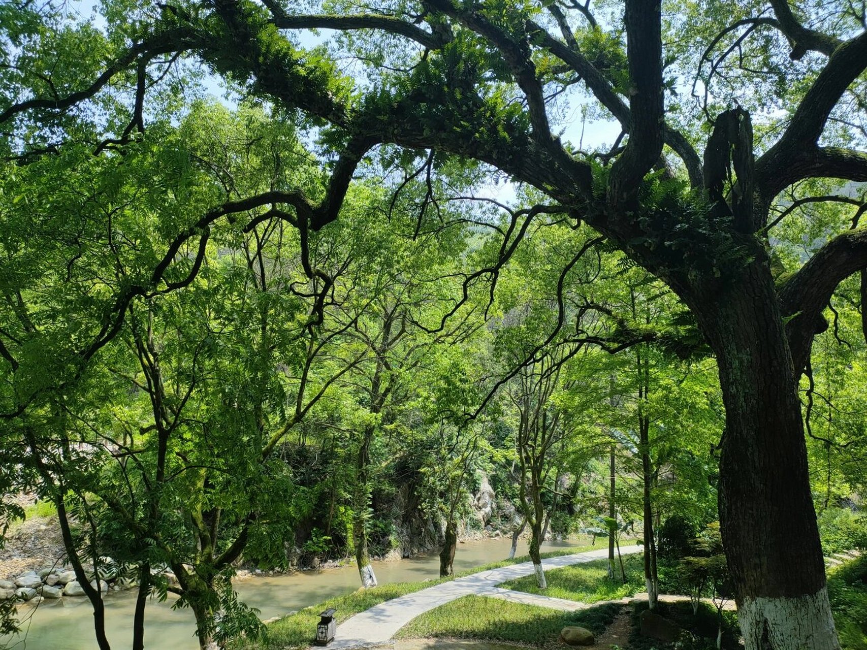 青原山 往水库的路上基本没人,一个人壮着胆子来回 风景是真的美途 