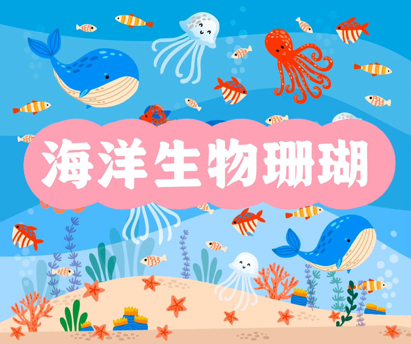 赠予人类的珍贵礼物,美丽的珊瑚礁吸引着众多的海洋动物来这里落户