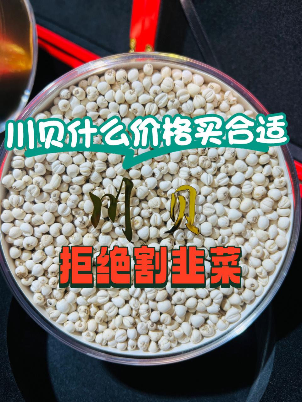 01川贝到底多少钱入合适? 你的川贝买贵了?到底多少钱才能买到好货!