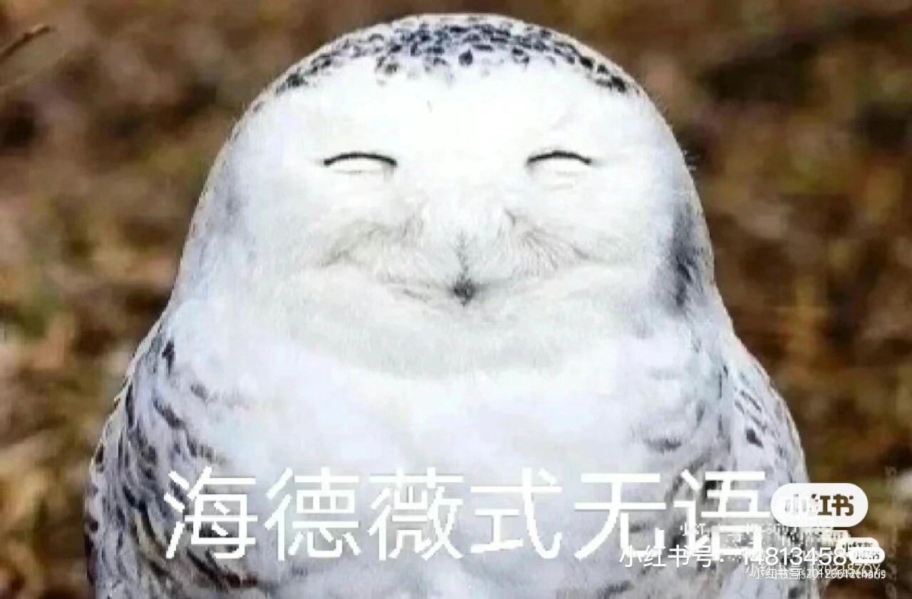 神奇动物在哪里  表情包90