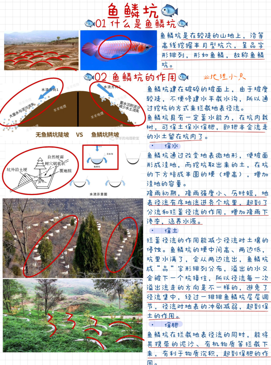 7815鱼鳞坑!黄土高原离不开它!