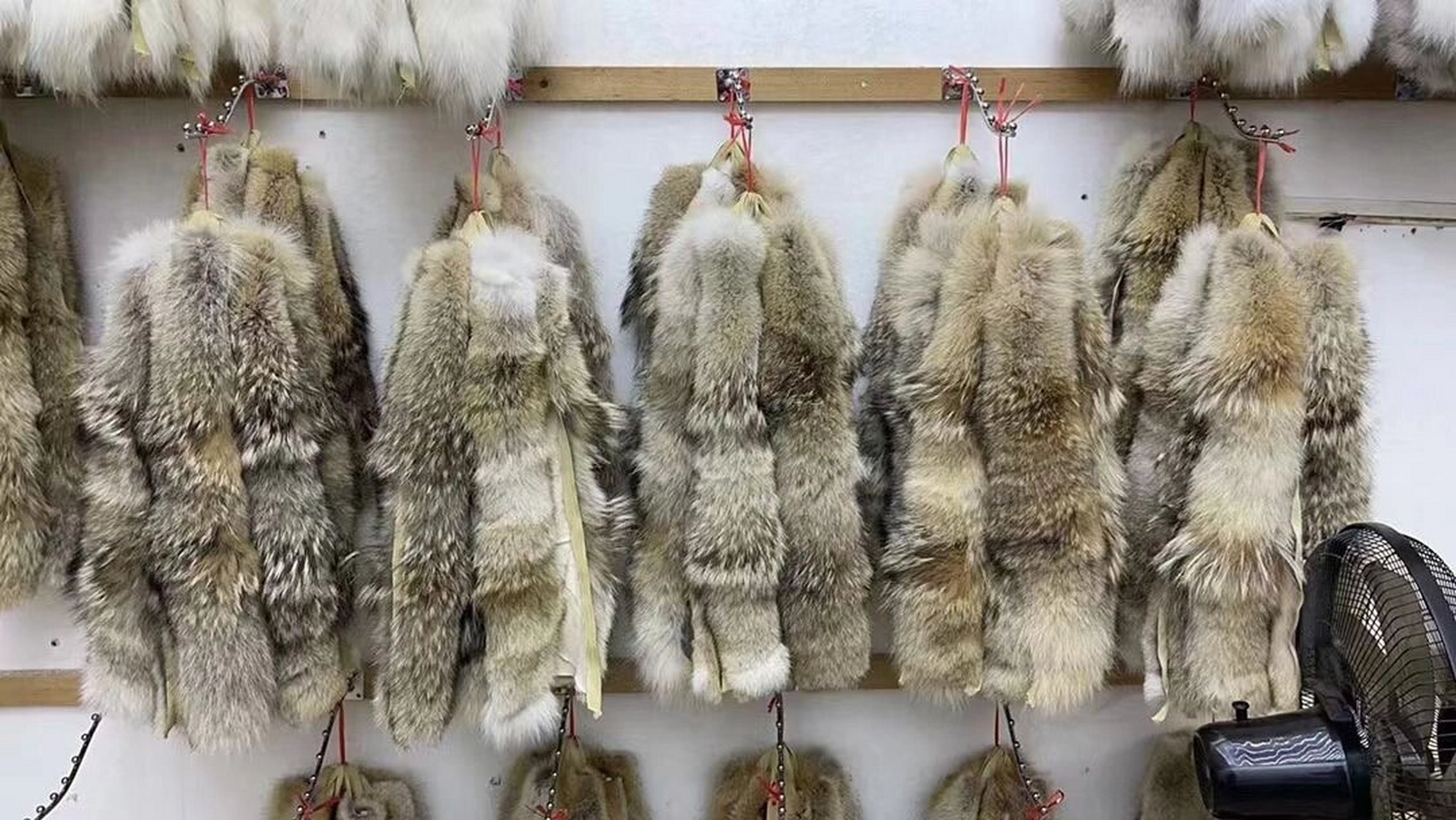 青狼毛那种细腻又坚挺的手感是来自大自然风霜侵蚀才呈现出来的生命感