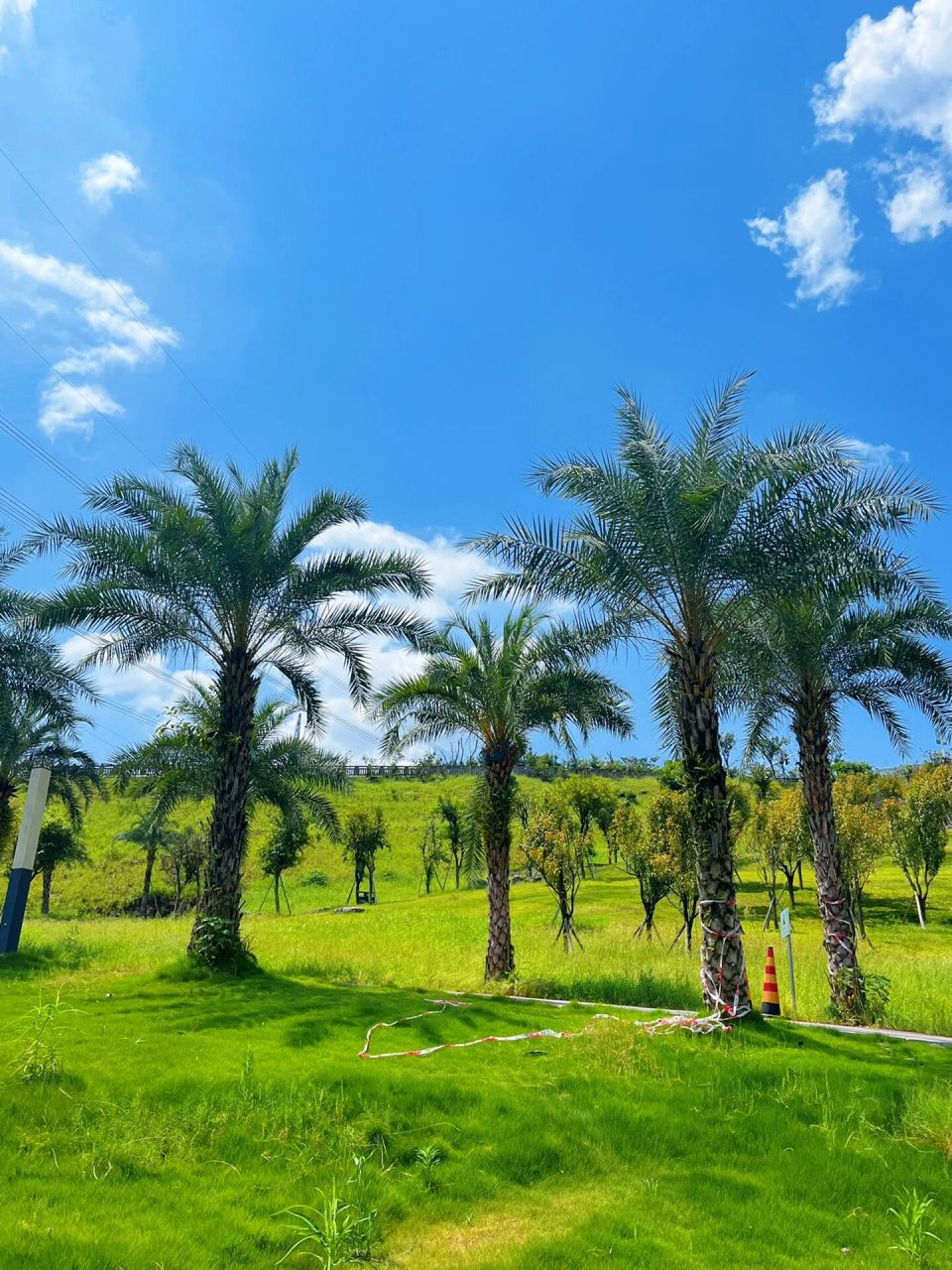 北碚竹溪河湿地公园 露营真不错91