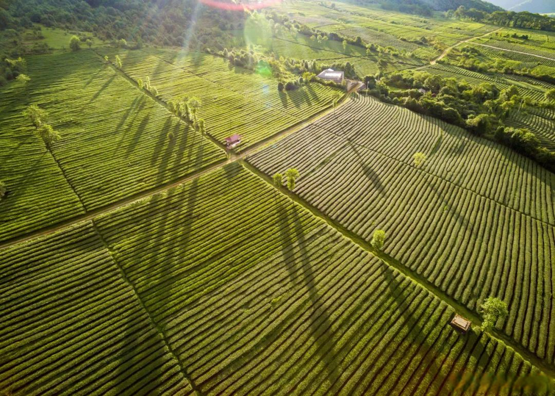 寻美中国# 【解锁幸福腾冲"高颜值"打卡地——明光镇"雪域乌龙"】"