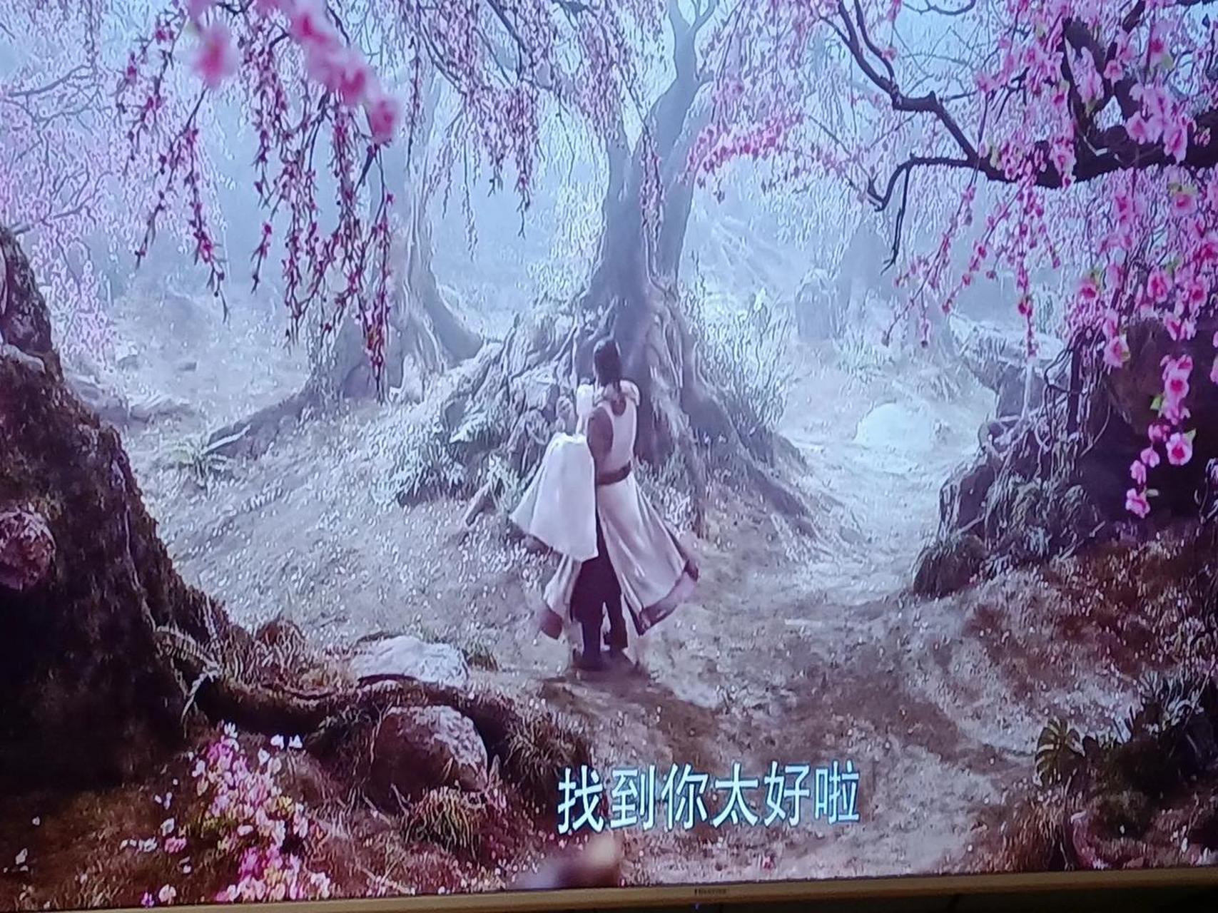 射雕桃花开图片