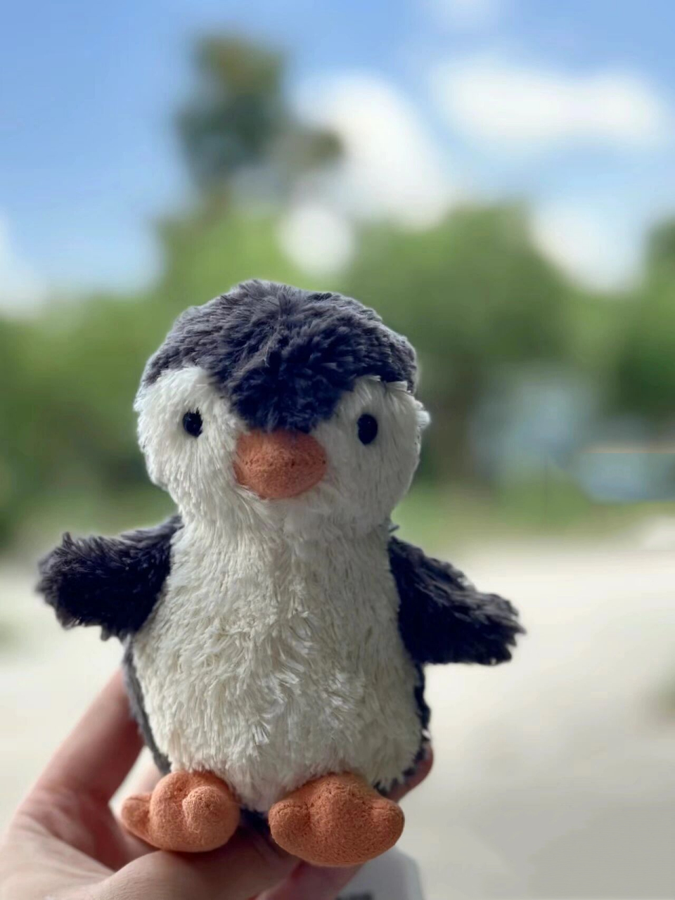 最全jellycat花生企鹅版本以及真假干货 买鹅鹅的时候做了一些功课 拿