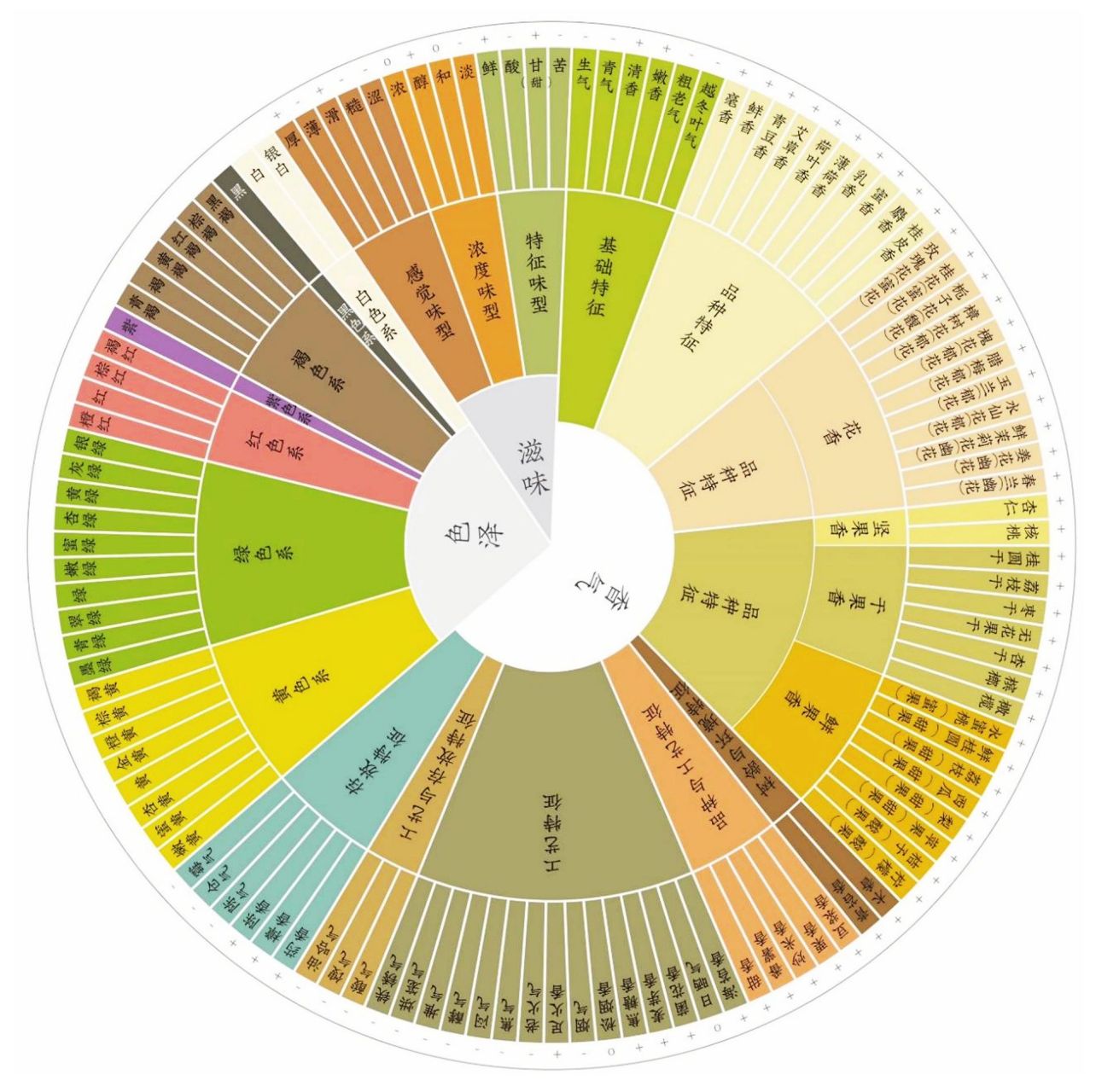 7515茶叶风味轮  9156691566%的茶术语都在  	 04大家