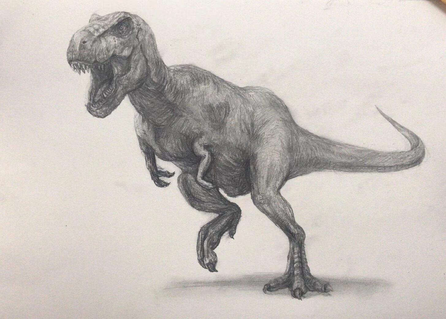 霸王龙(素描)!男孩的最爱