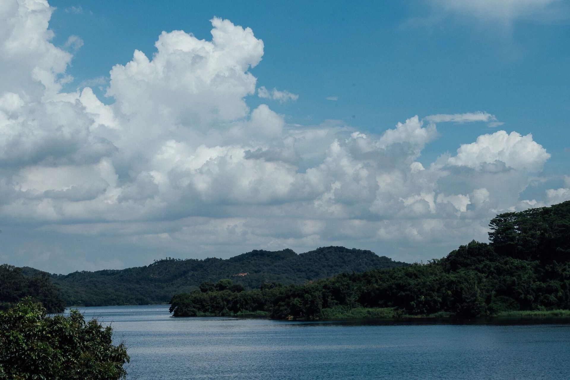 东莞|同沙生态公园 出片真的好好看!