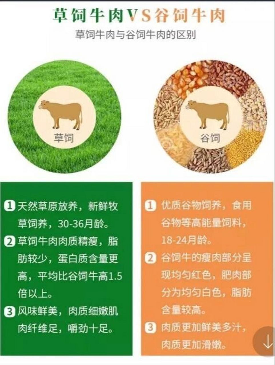 涨知识75谷饲牛排vs草饲牛排哪个好7175 可能