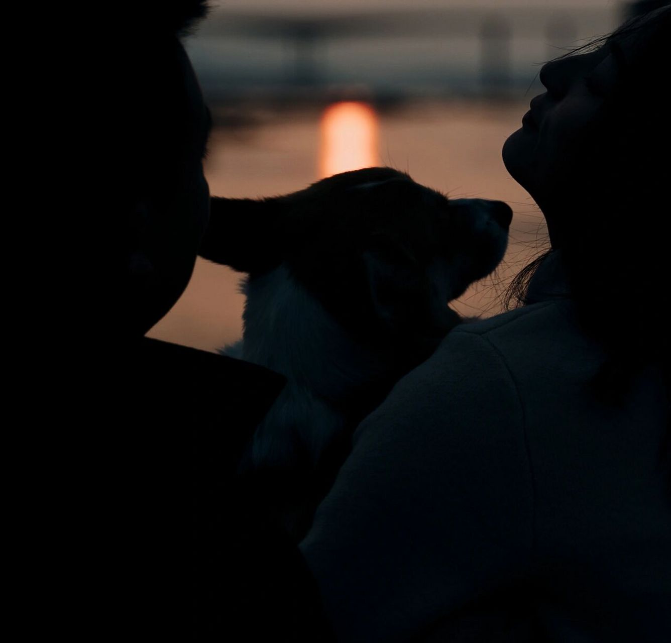 情侣写真|两人一狗 温馨的画面