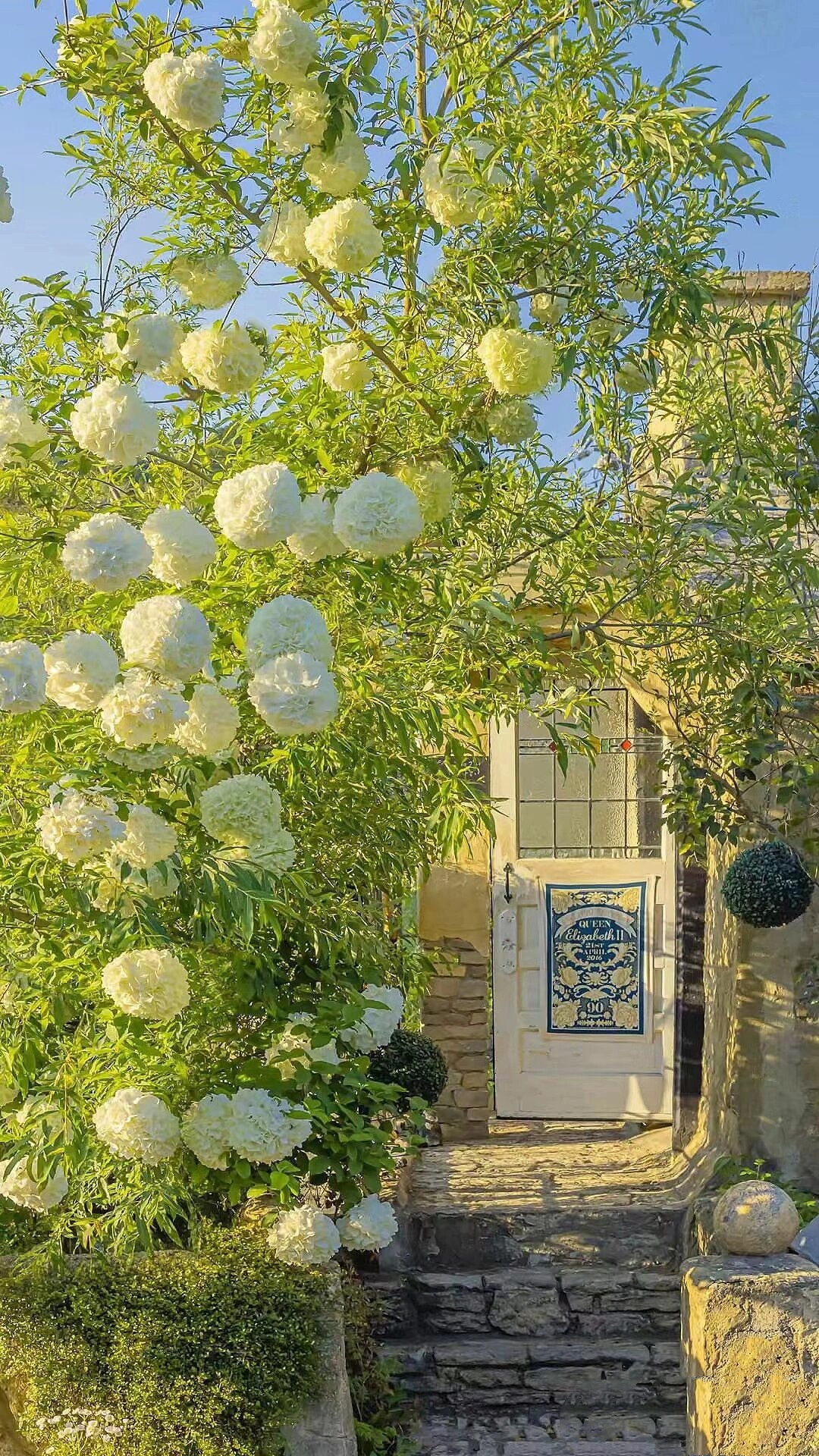 治愈系ins风壁纸