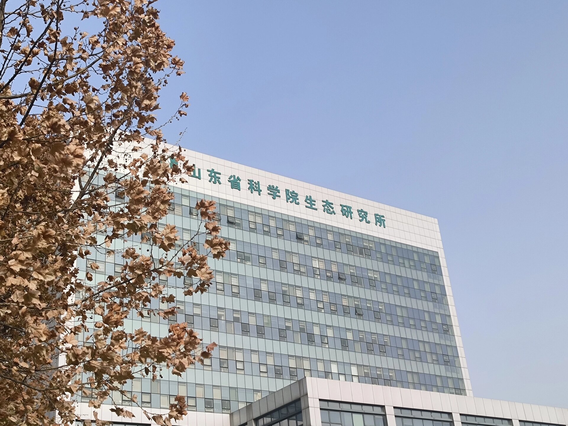 山东省科学院 山东省科学院&齐鲁工业大学