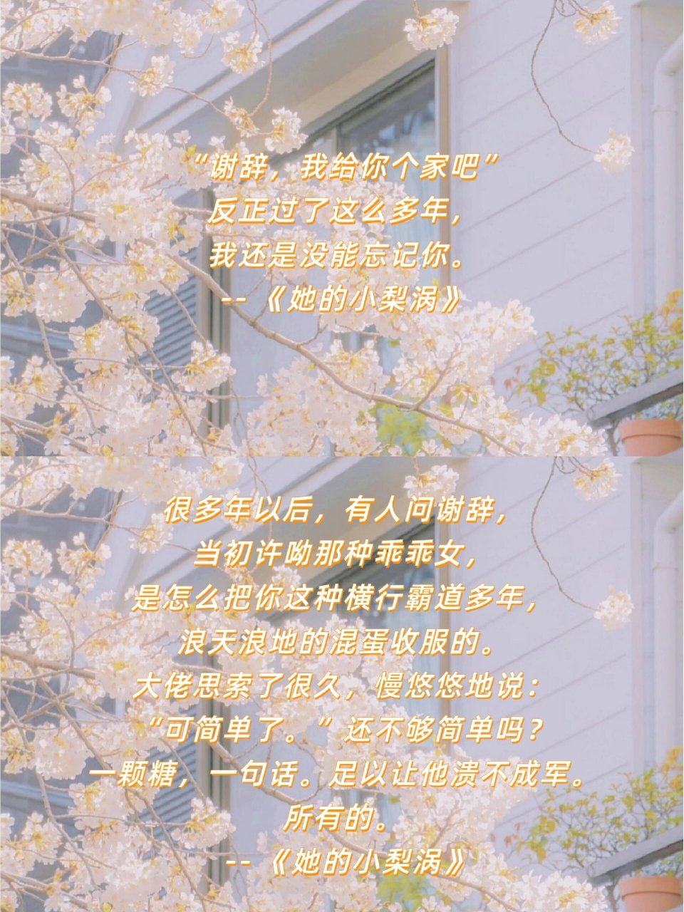 97经典语录|《她的小梨涡》--by唧唧的猫 78那一年的谢辞,横行