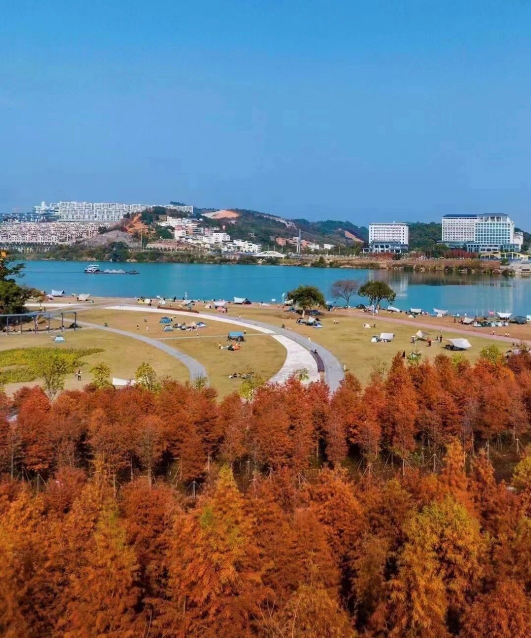 江边露营的季节72159499灵龟山公园 又又又到了适合去江边