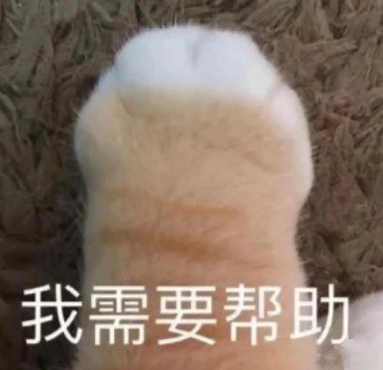 问卷调查背景图  啦 问卷调查背景图,表情图 你也需要做问卷调查嘛
