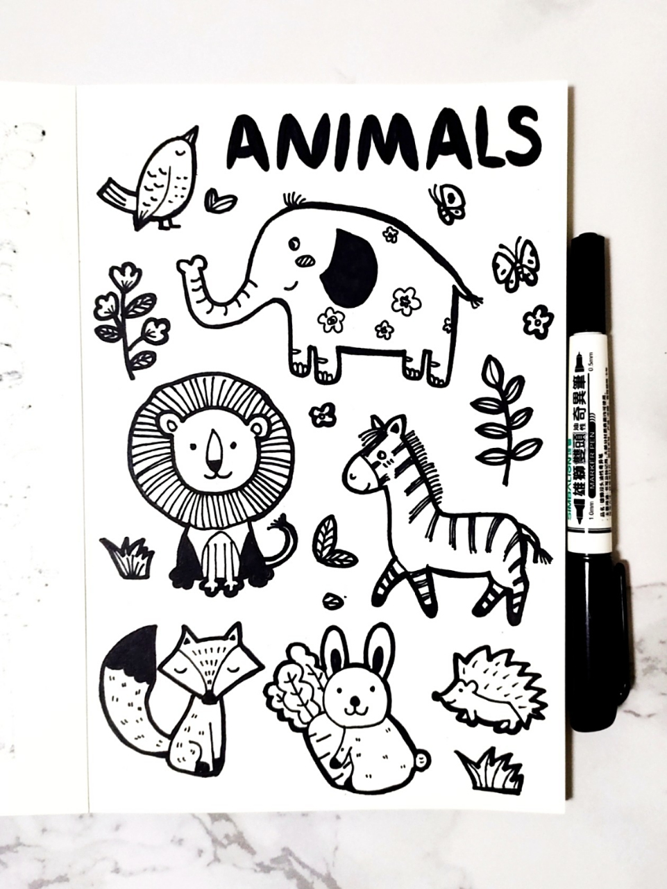 零基础手绘 | 简笔画 | 动物世界 🌟 今日主题动物世界 小兔子身上