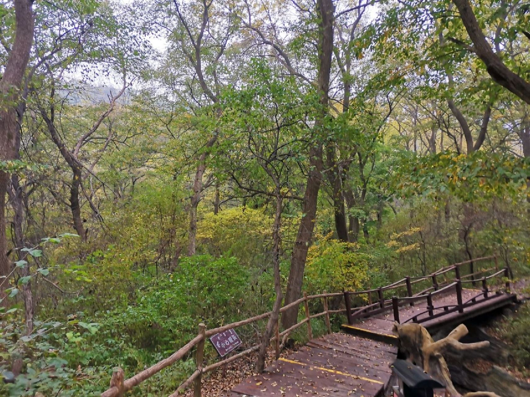 通辽61大青沟国家级自然保护区 大青沟国家级自然保护区是一处保存