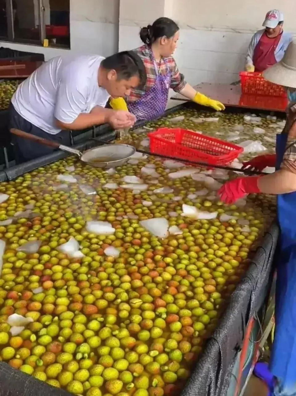 这样洗洗吃了更健康头号周刊