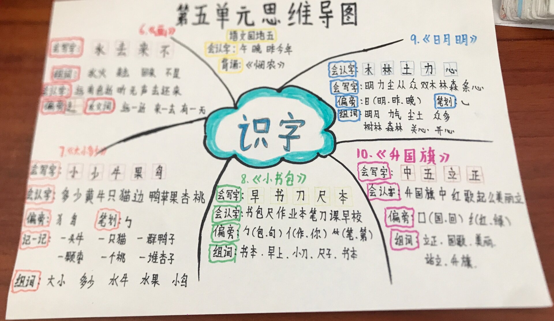 一年级上册第五单元《思维导图》