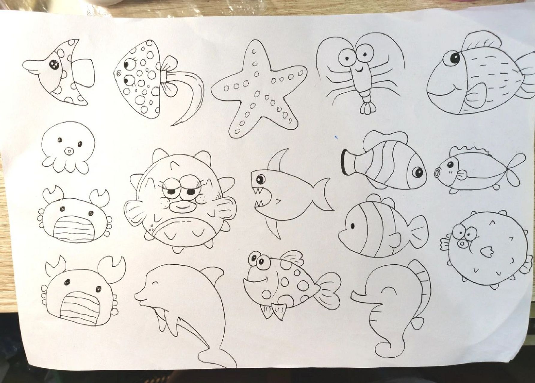 水里生活的动物简笔画图片