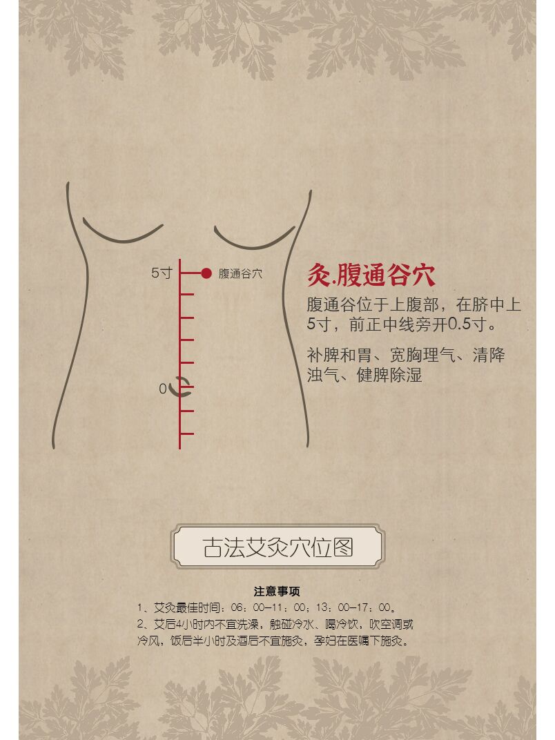 通骨的准确位置图片图片