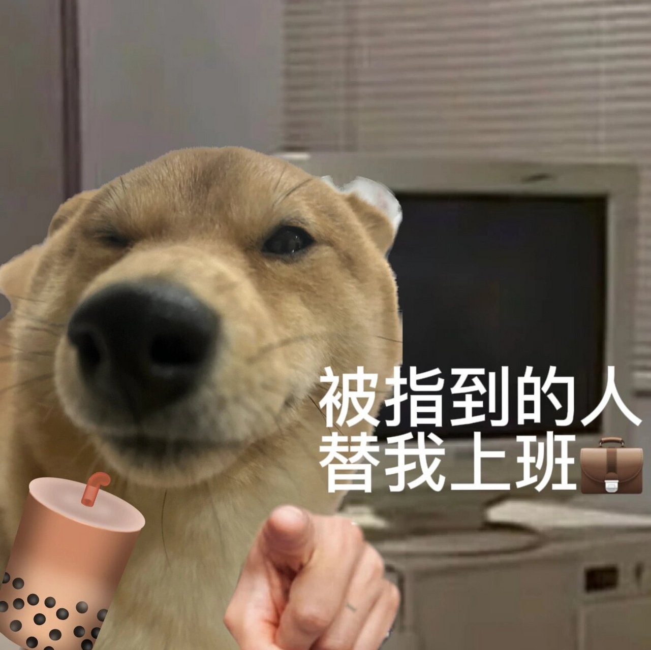 不想上班想创业干点什么好(不想上班只想创业是什么心理)