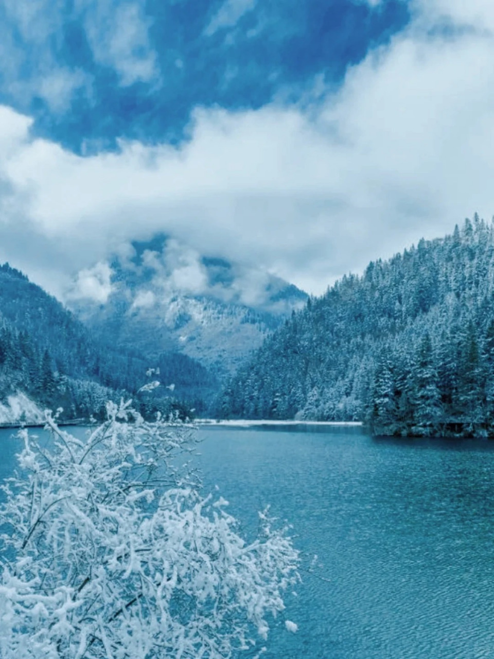 98  76九寨沟,冰雪世界宛如童话!