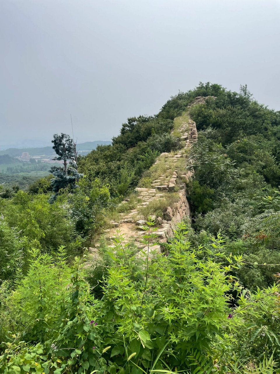 遵化免费景点 自驾游图片