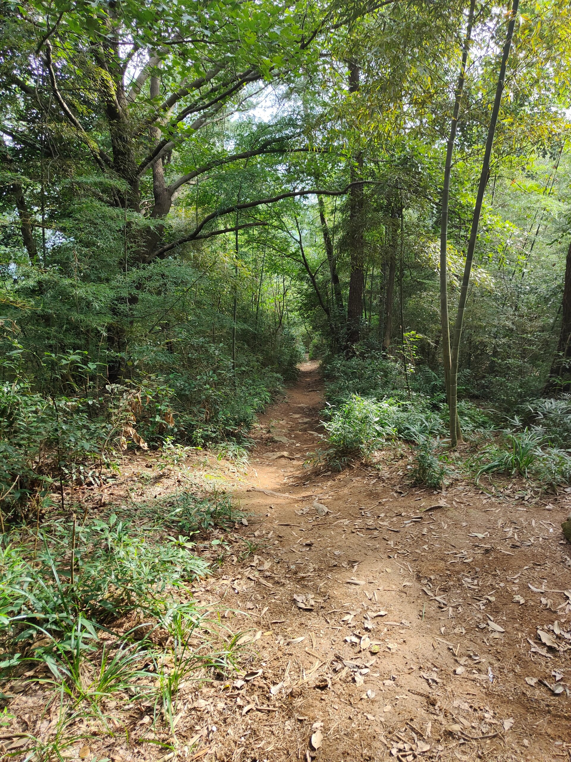 鹿寨山环山步道图片图片