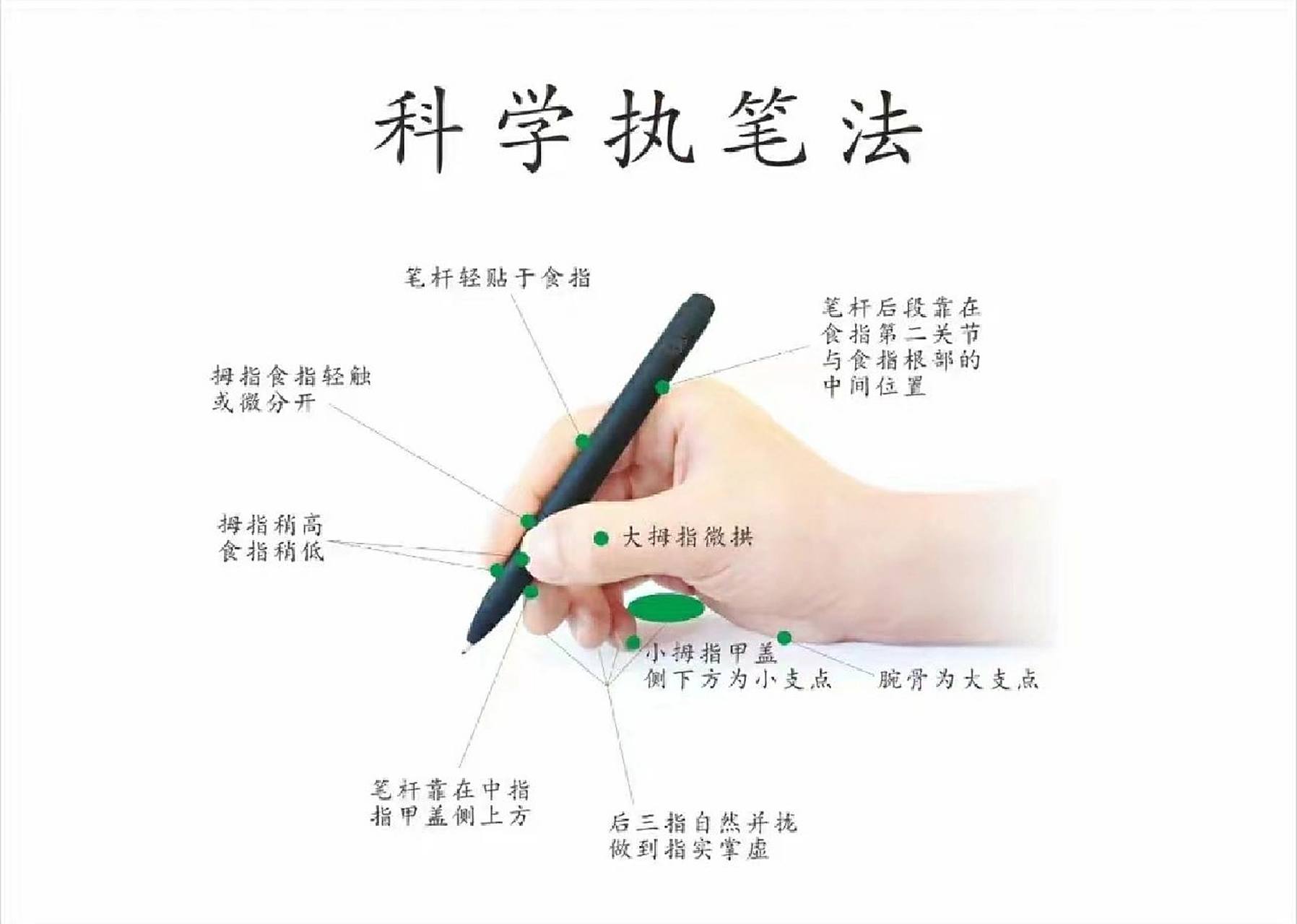 科学执笔法,标准握笔姿势 笔杆轻贴于食指 笔杆后段靠在食指第2关节与
