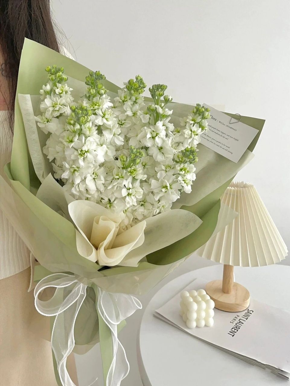 每日一花|白色紫罗兰 白色紫罗兰花语:清凉舒爽,忠诚的心和抓住幸福