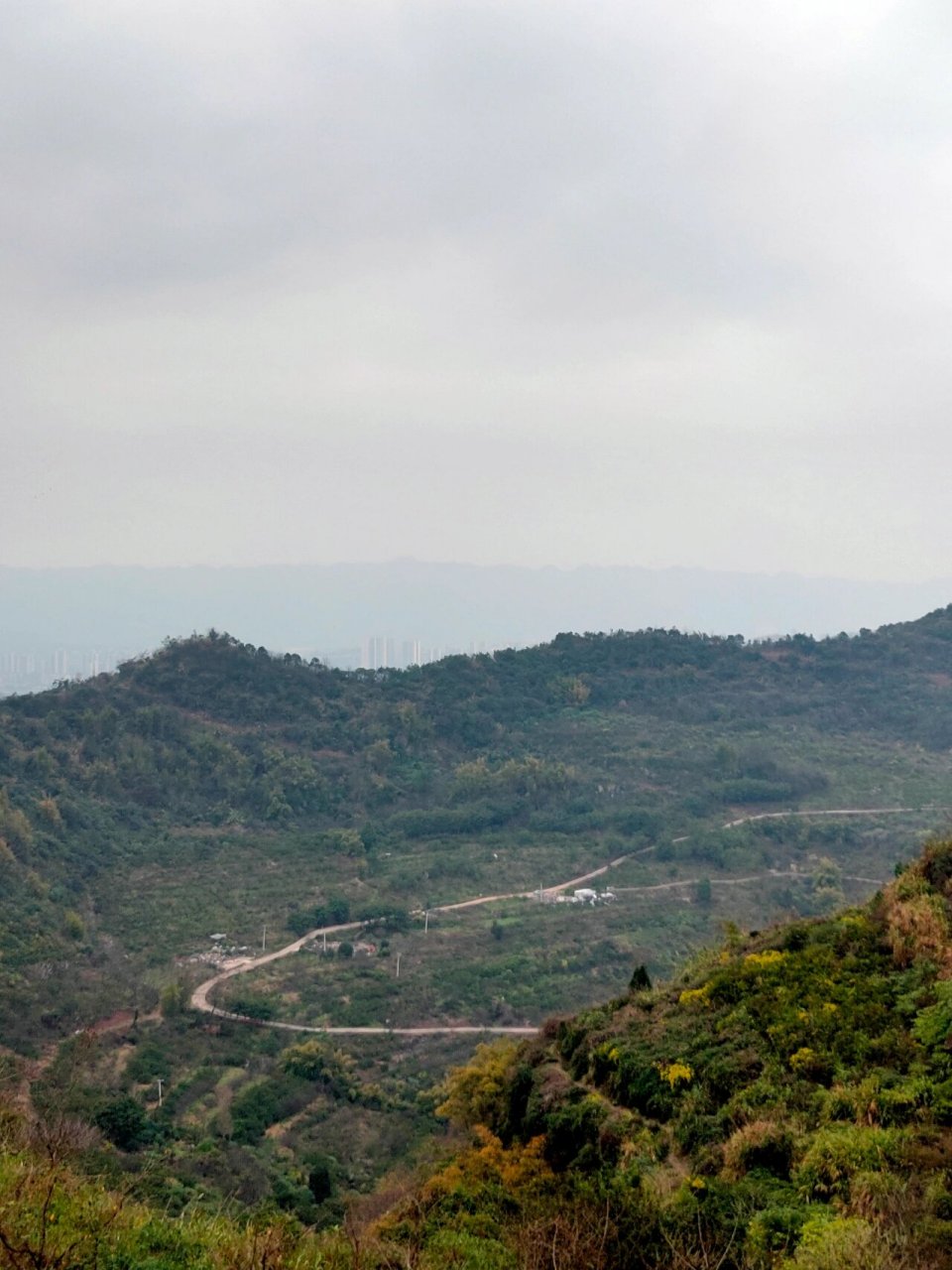 西永寨山坪森林公园图片