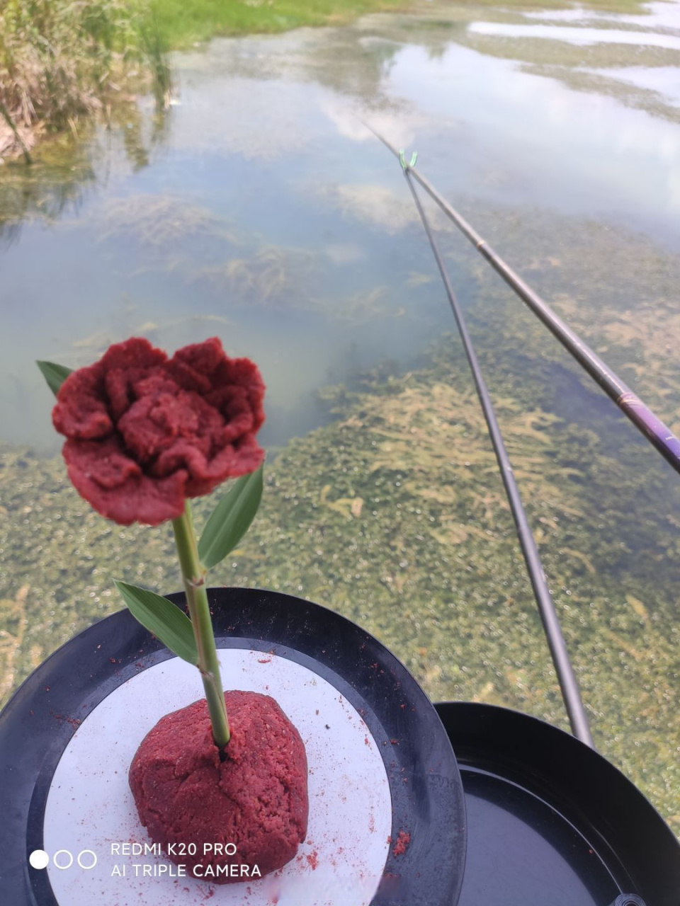 狂跳大象舞#在下,飘不动,敢问阁下是?