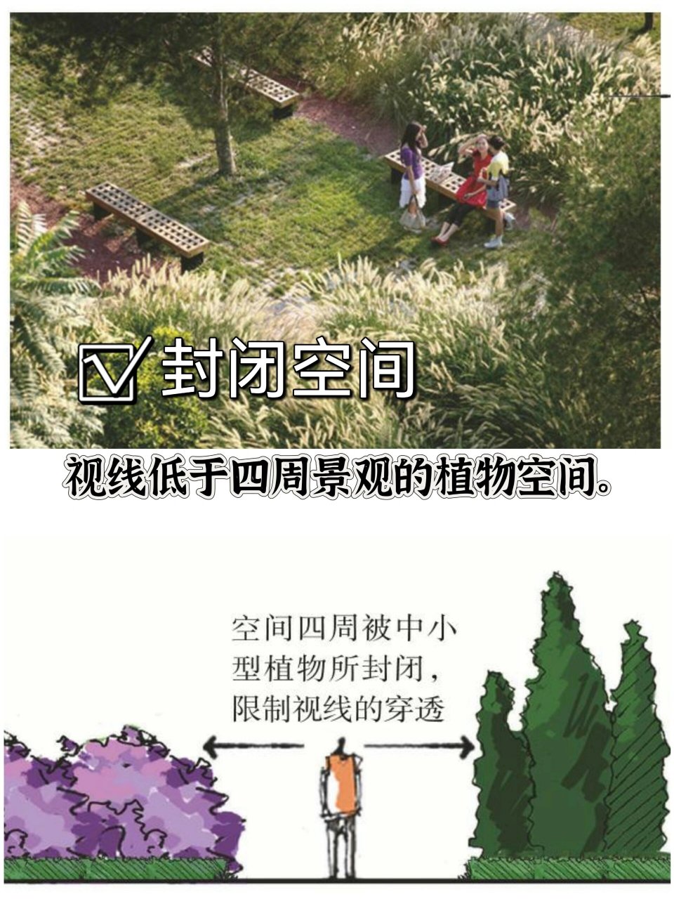 植物空间层次图片