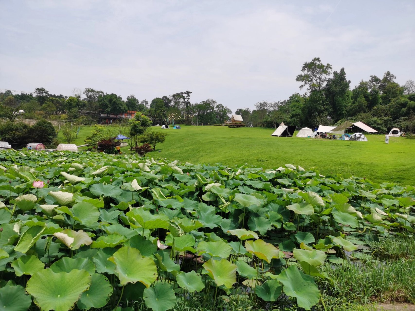 巴南天坪山云林天乡|一场亲近大自然的露营 一起带娃来体验仙境之旅吧