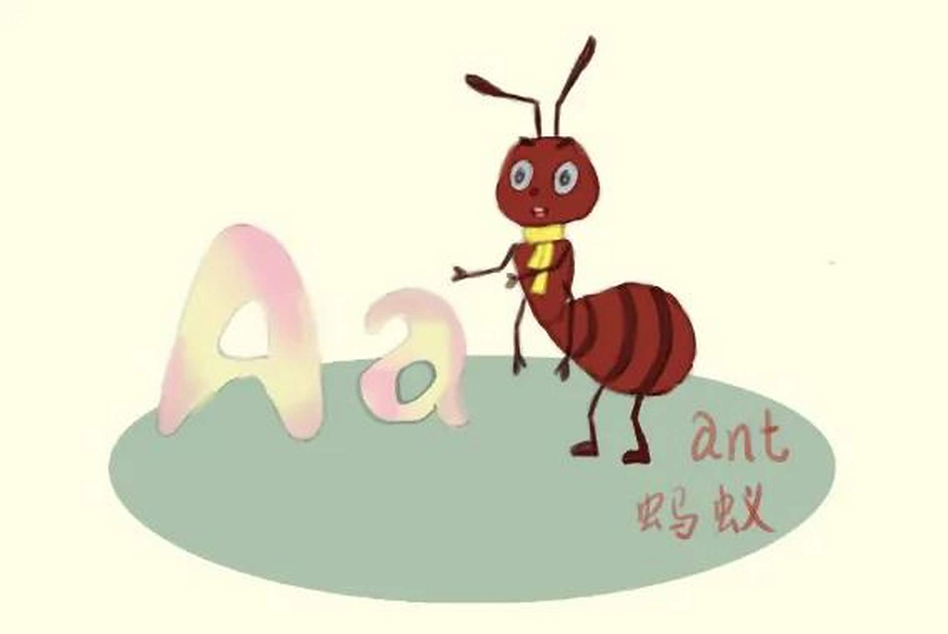 英语每日一词  ant  n.   蚂蚁 复数:ants