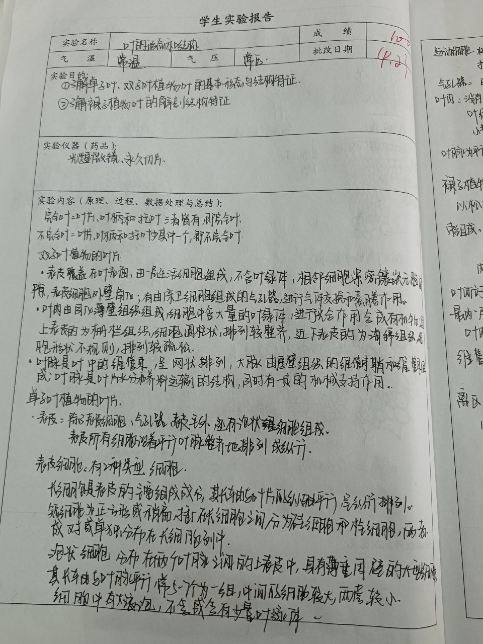 叶的形态和结构