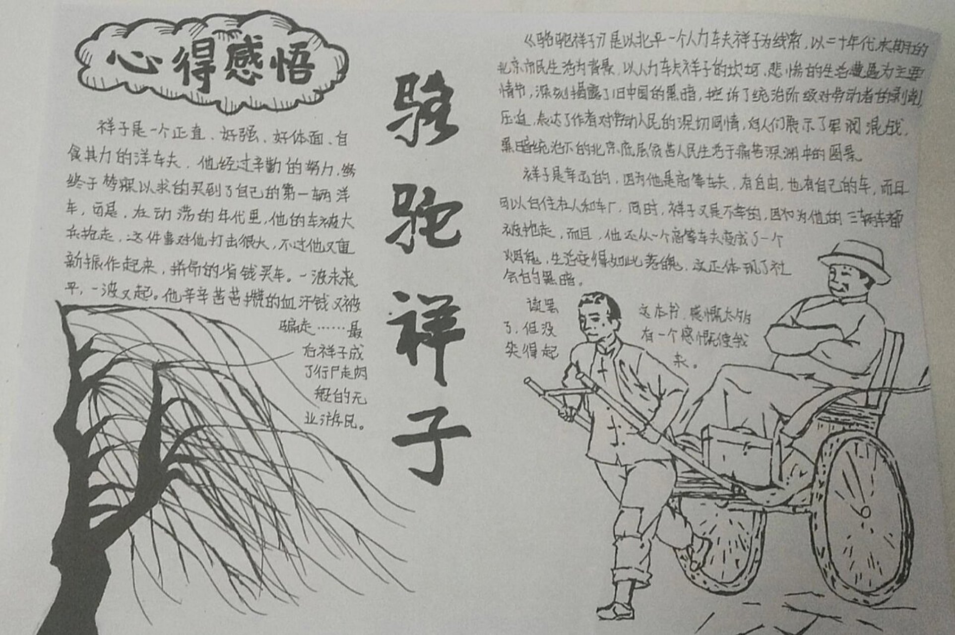 骆驼祥子简笔插画图片