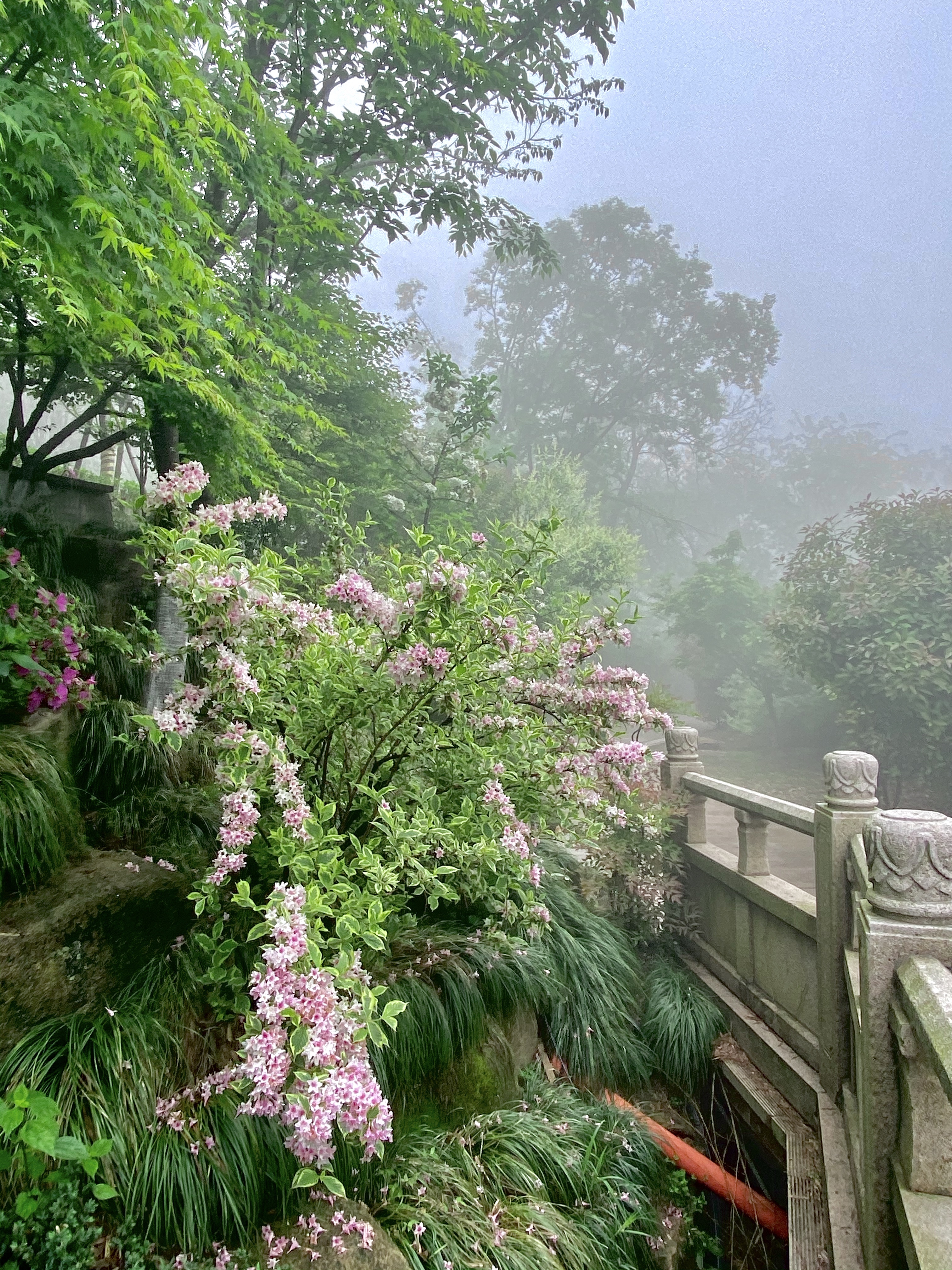 徑山寺位于余杭区山高五百多米,春雨潇潇,云雾缭绕,径山寺雄伟建筑