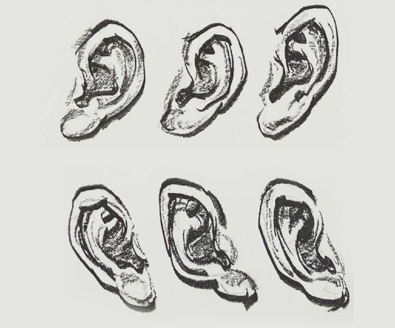 【联考速写】-耳朵局部【干货教学】 耳朵对称长在头部的两侧,其长度